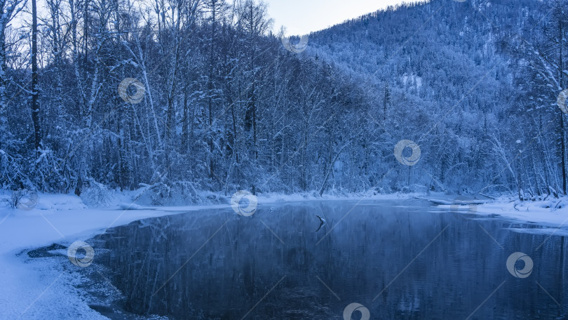 Скачать Спокойная, незамерзающая река в зимнем лесу. фотосток Ozero