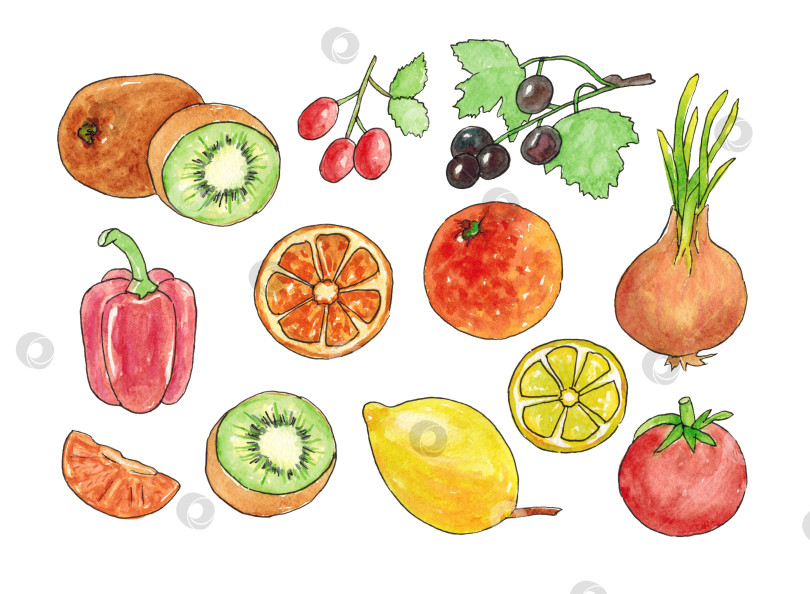 Скачать Набор фруктов, овощей и ягод. Продукты, содержащие витамин С. Иллюстрация выполнена акварелью от руки. фотосток Ozero