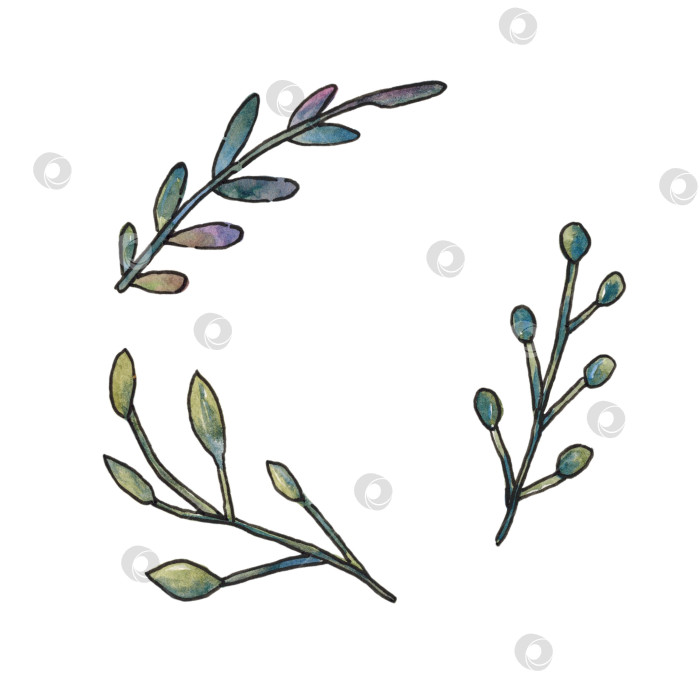 Скачать Набор веток, выделенных на белом фоне. Его можно использовать как рамку с пространством для текста. Стилизованная иллюстрация выполнена вручную акварелью. фотосток Ozero