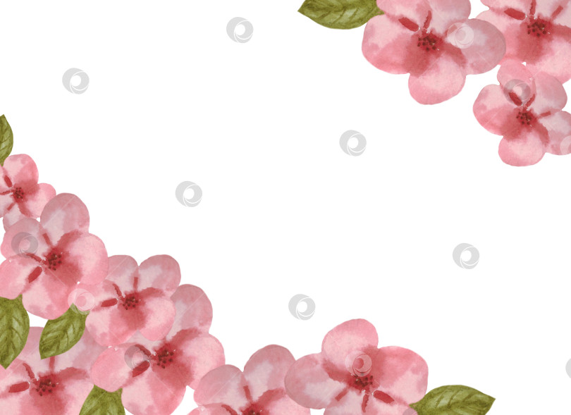 Скачать Рамка с цветами вишни на белом фоне. С пустым местом для текста. Может использоваться как поздравительная открытка, приглашение на свадьбу. фотосток Ozero