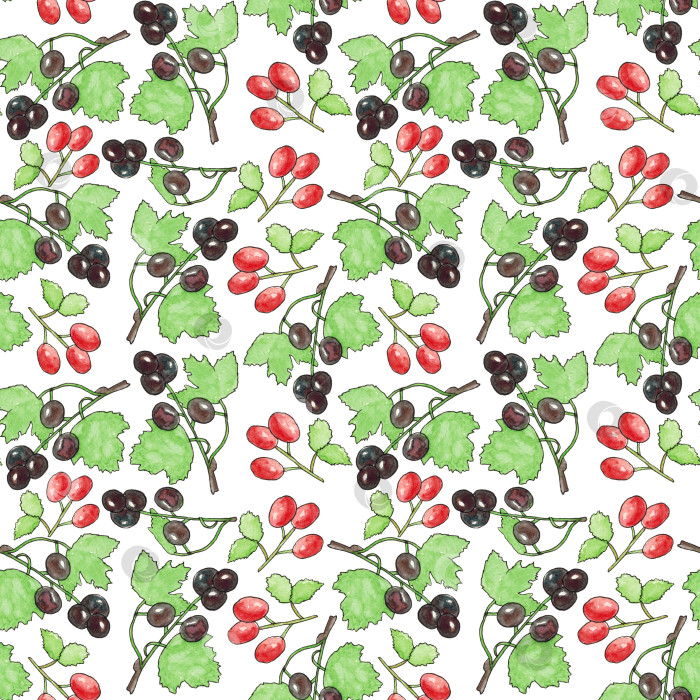Скачать Бесшовный узор с изображением черной смородины и шиповника на белом фоне. Витамин С. Иллюстрация выполнена акварелью от руки. ее можно использовать на тканях, обоях, обложках, меню, упаковочной бумаге. фотосток Ozero