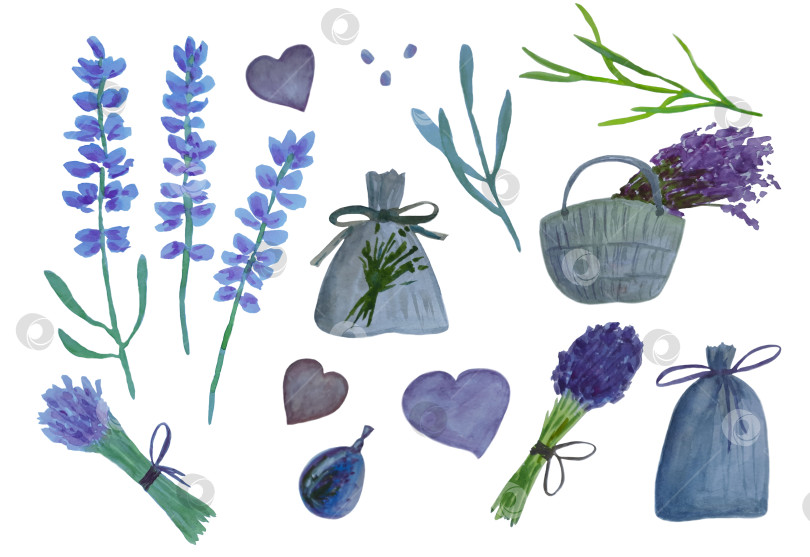 Скачать Набор с лавандой, саше, лавандовым чаем, букетами лаванды, корзинкой и сердечками на белом фоне. Иллюстрация выполнена акварелью для вашего дизайна. фотосток Ozero