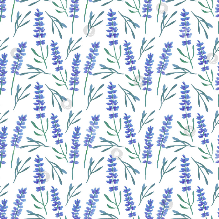 Скачать Бесшовный цветочный узор с лавандой на белом фоне. Иллюстрация выполнена акварелью. фотосток Ozero