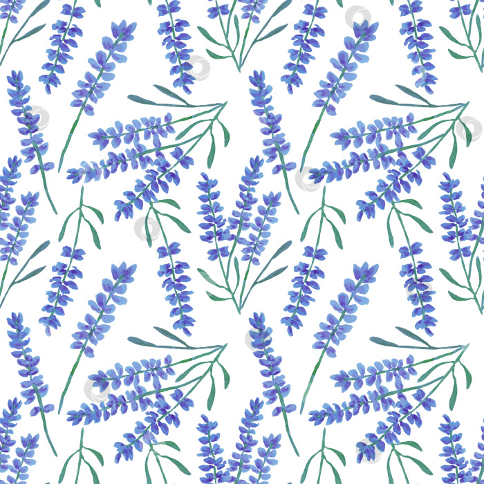 Скачать Бесшовный цветочный узор с лавандой на белом фоне. Иллюстрация выполнена акварелью. Может использоваться для ткани, оберточной бумаги, обоев, скрапбукинга, обложек, открыток. фотосток Ozero