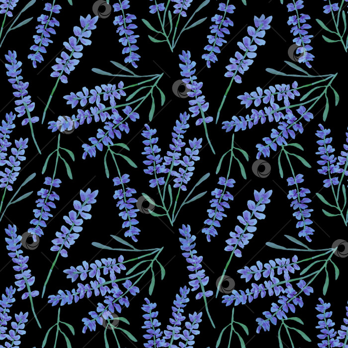 Скачать Бесшовный цветочный узор с лавандой на черном фоне. Иллюстрация выполнена акварелью. фотосток Ozero
