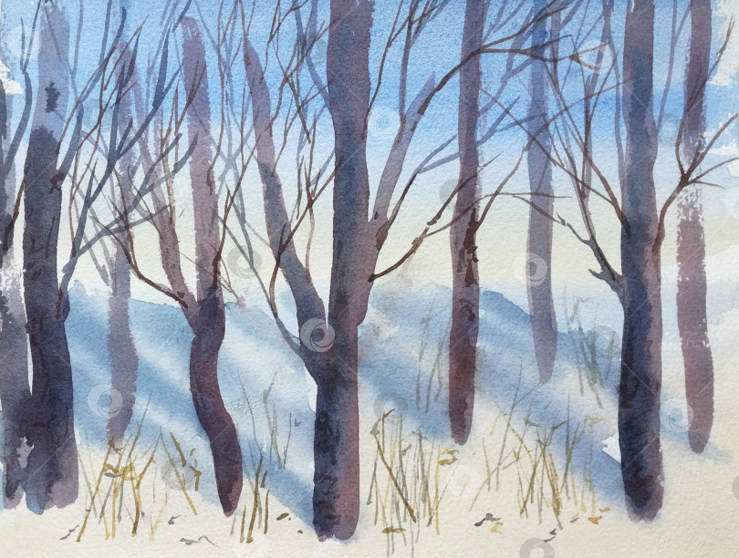 Скачать Природный пейзаж с зимними деревьями, нарисованный акварелью вручную. Подходит для открыток, плакатов. фотосток Ozero