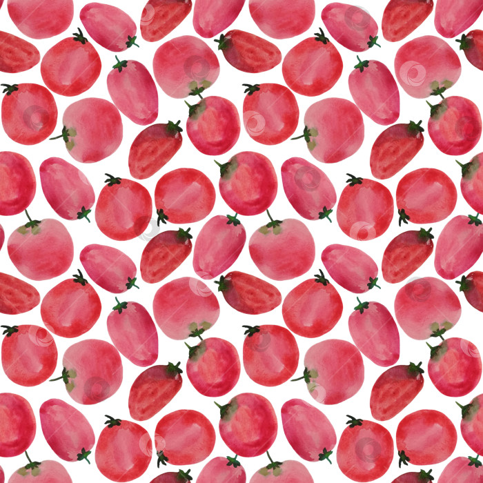 Скачать Бесшовный узор, красные помидоры на белом фоне. Нарисован вручную акварелью. Может быть нанесен на ткань, обои, открытки, упаковку, плакат. фотосток Ozero
