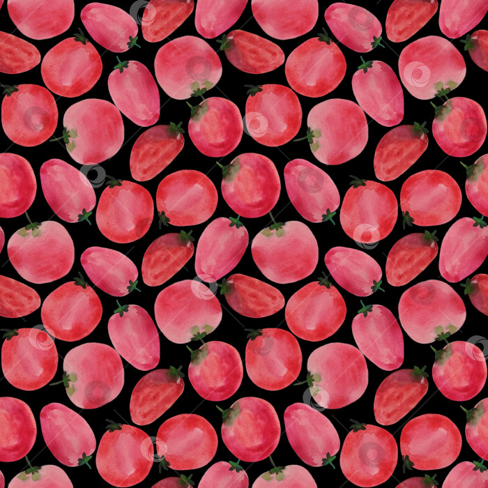 Скачать Бесшовный узор: красные помидоры на черном фоне. Нарисован вручную акварелью. Может быть нанесен на ткань, обои, открытки, упаковку. фотосток Ozero