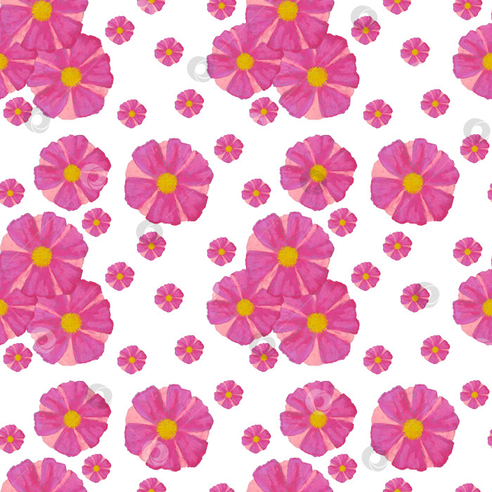 Скачать Бесшовный узор из розовых цветов на белом фоне. Иллюстрация выполнена вручную пастелью. фотосток Ozero