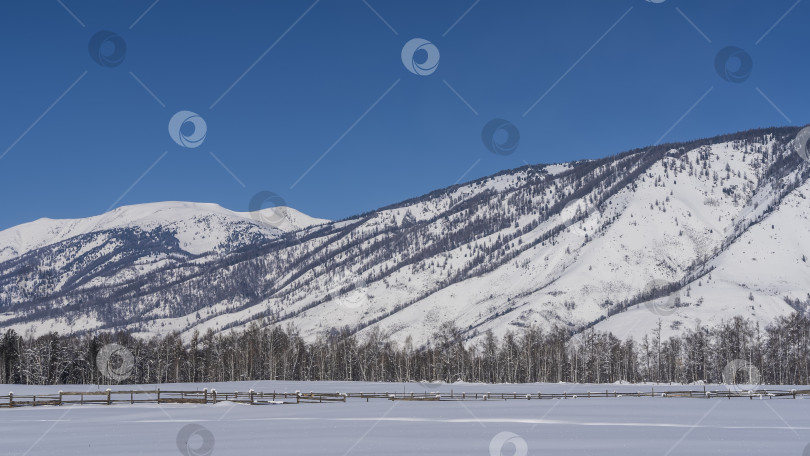 Скачать В заснеженной долине виден деревянный забор. фотосток Ozero