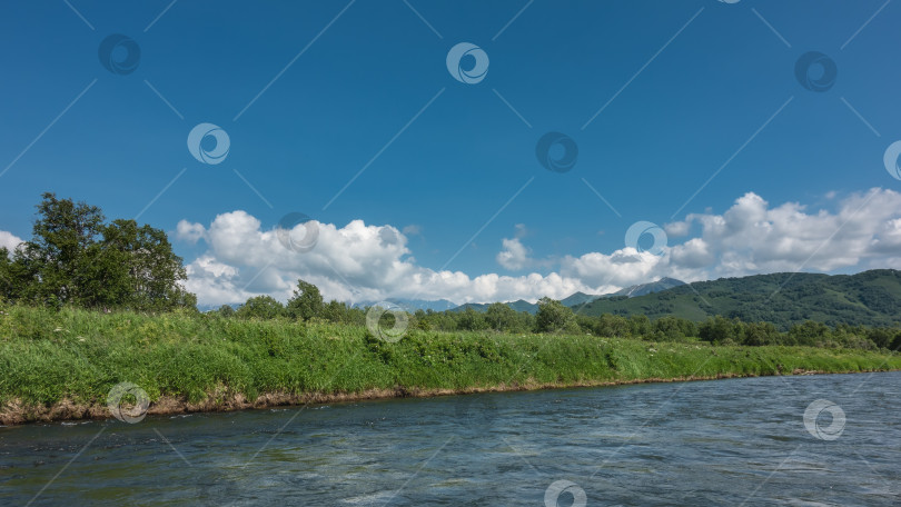 Скачать На берегу голубой реки растет пышная растительность: трава, полевые цветы, деревья. фотосток Ozero
