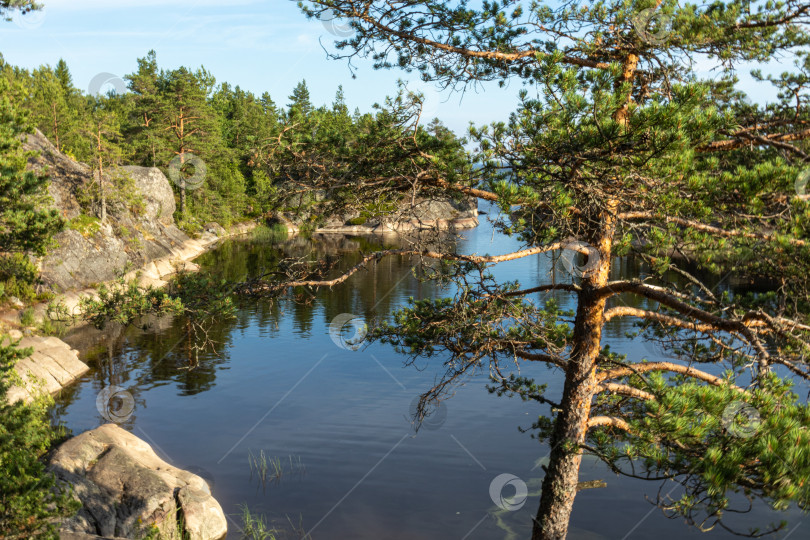 Скачать Россия, лето, Карелия, пейзаж фотосток Ozero