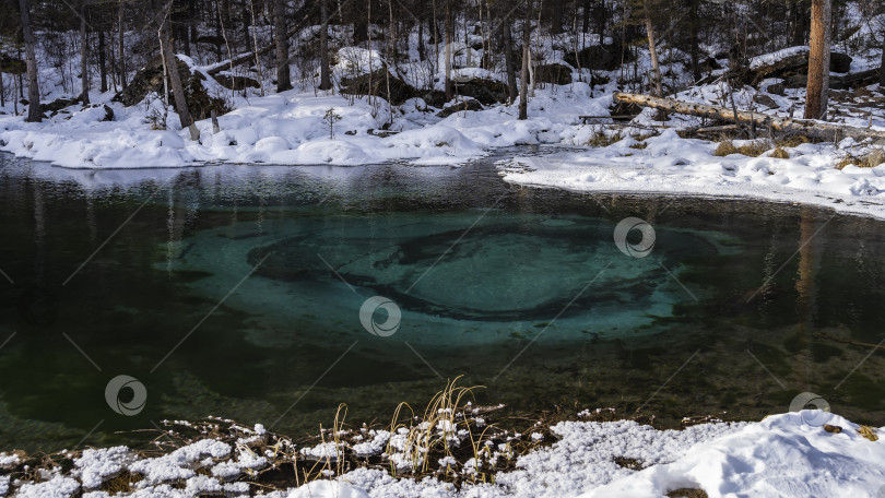 Скачать Удивительное незамерзающее озеро в зимнем лесу. фотосток Ozero