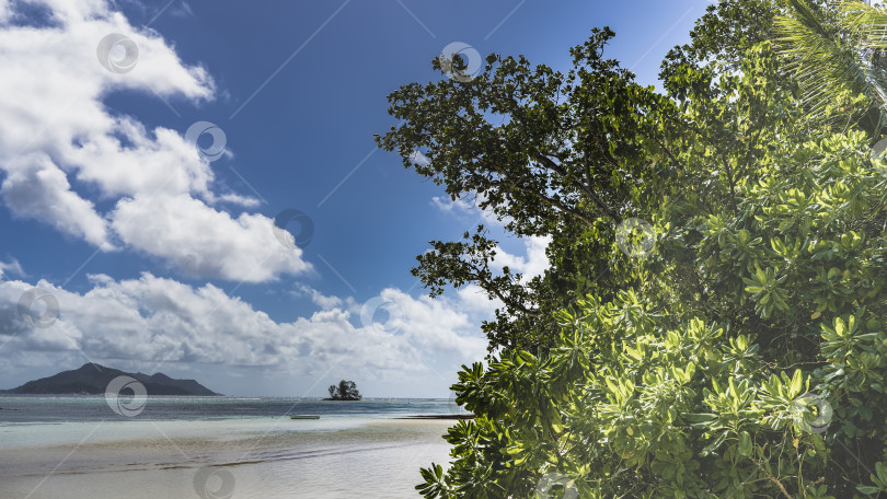 Скачать Тропический пейзаж. В бирюзовом океане видны острова фотосток Ozero