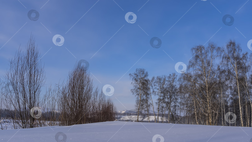 Скачать Чистый белый снег в долине искрится на солнце. фотосток Ozero