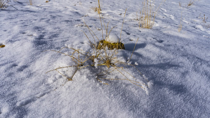[object Object] undefined