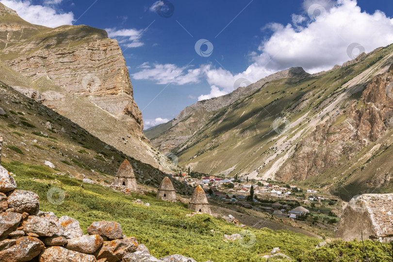 Скачать Село Эльтюбю летом фотосток Ozero