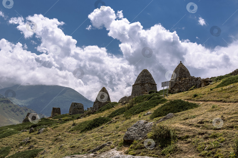 Скачать Село Эль-Тюбю летом фотосток Ozero