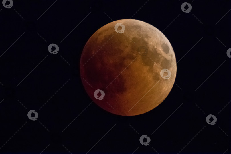 Скачать Лунное затмение: фаза кровавой луны, полностью покрытой тенью Земли от солнца фотосток Ozero