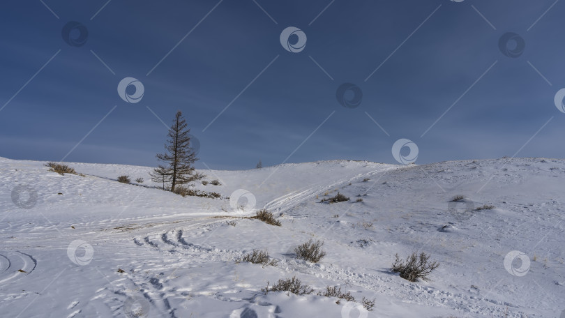 Скачать Хорошо утоптанная дорога проходит по заснеженному высокогорному плато. фотосток Ozero
