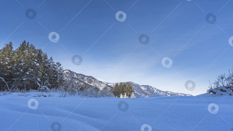 Скачать Земля в долине покрыта чистым белым снегом. фотосток Ozero