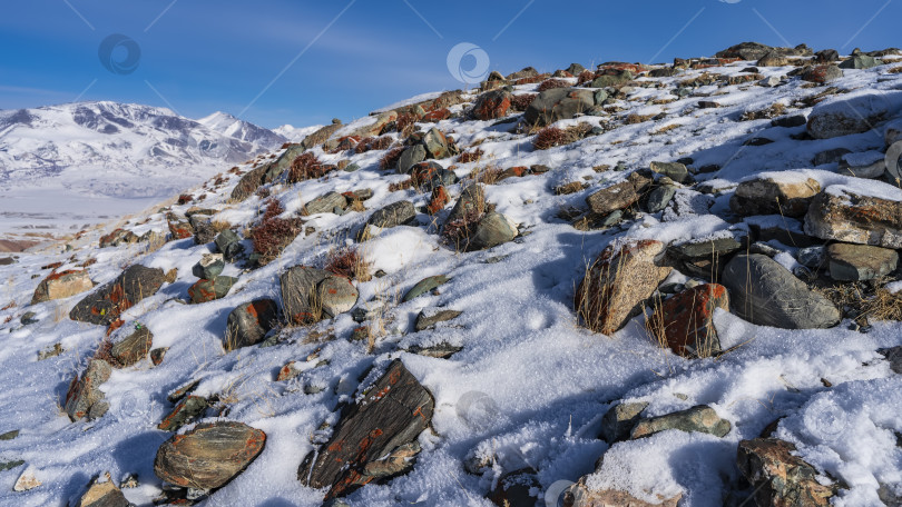 Скачать Камни разбросаны по заснеженному склону холма. фотосток Ozero