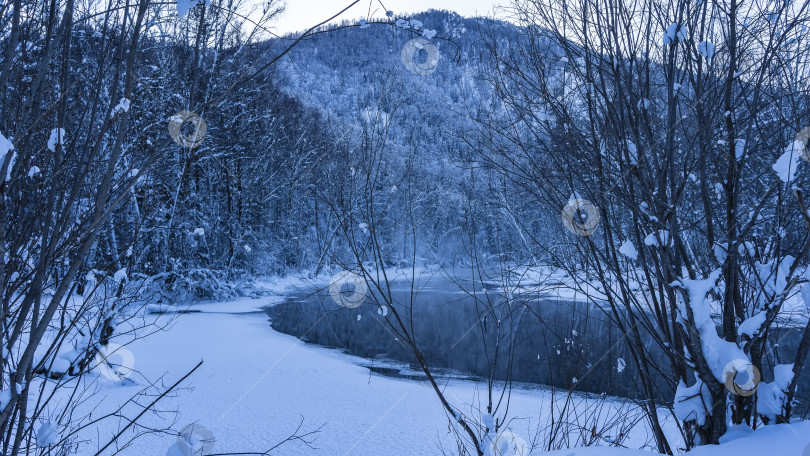 Скачать Незамерзающая река в зимнем лесу. фотосток Ozero