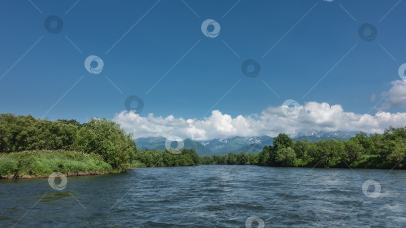 Скачать Русло голубой реки изгибается между берегами, поросшими пышной зеленой растительностью. фотосток Ozero