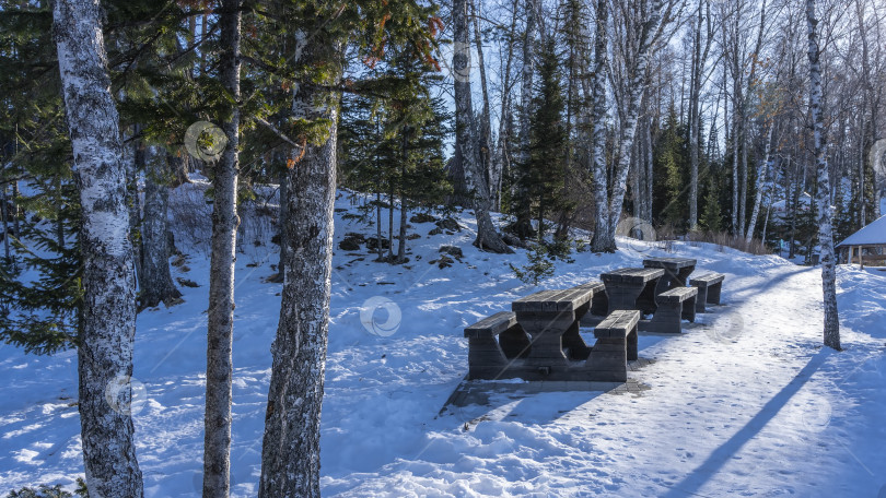 Скачать В парке на заснеженном склоне холма стоят некрашеные деревянные столы и скамейки. фотосток Ozero