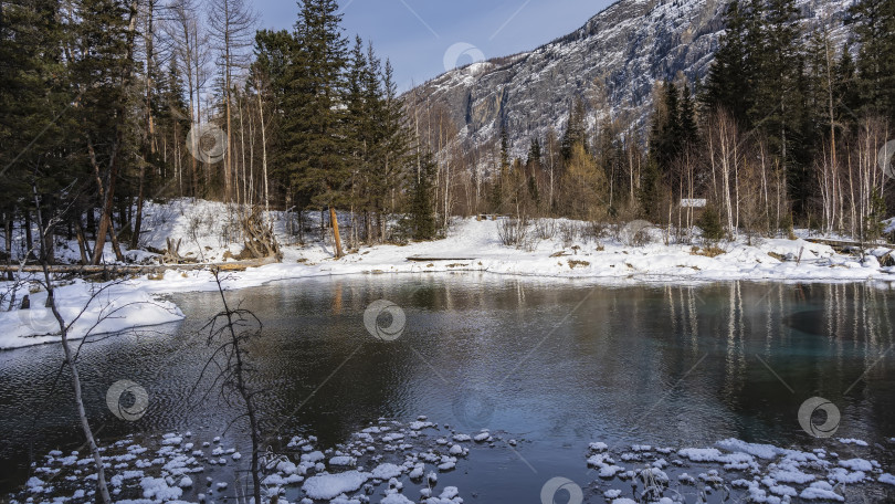 Скачать Уникальное незамерзающее озеро в зимнем лесу. фотосток Ozero