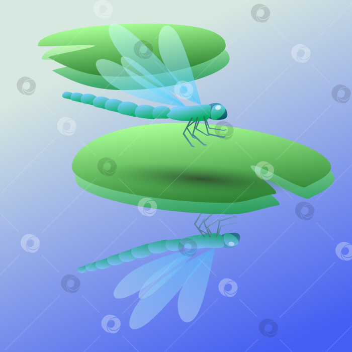 Скачать Изображение голубой стрекозы в полете над листом кувшинки фотосток Ozero