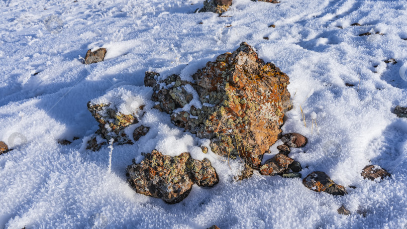 Скачать На поверхности камня есть зеленые и оранжевые лишайники. фотосток Ozero