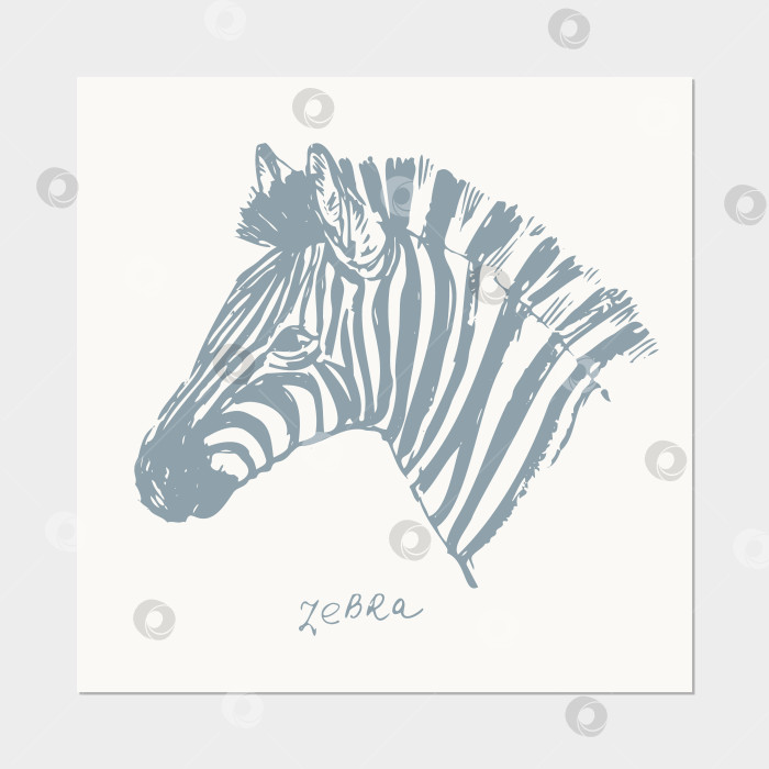 Скачать Абстрактная рисованная от руки портретная иллюстрация животных джунглей зебры. фотосток Ozero
