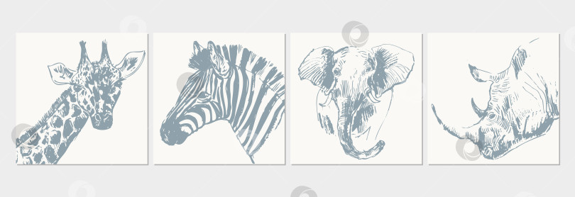 Скачать Абстрактная рисованная портретная иллюстрация животных джунглей фотосток Ozero