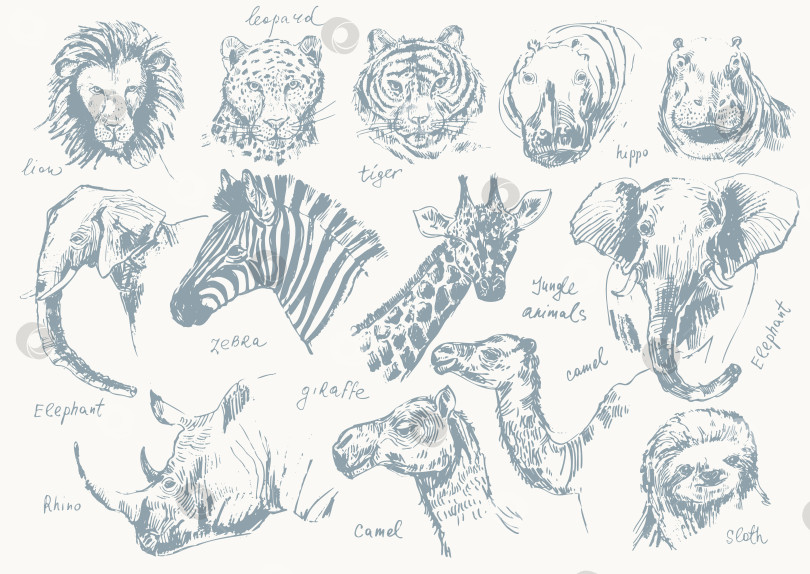 Скачать Абстрактная рисованная иллюстрация животных джунглей фотосток Ozero