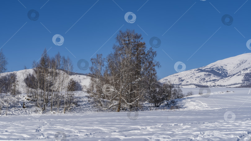 Скачать Долина покрыта чистым белым снегом фотосток Ozero