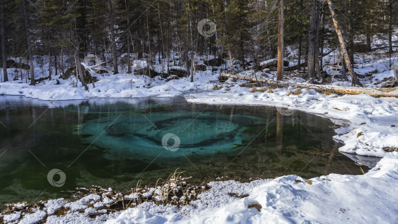 Скачать Удивительное гейзерное озеро в зимнем лесу. фотосток Ozero