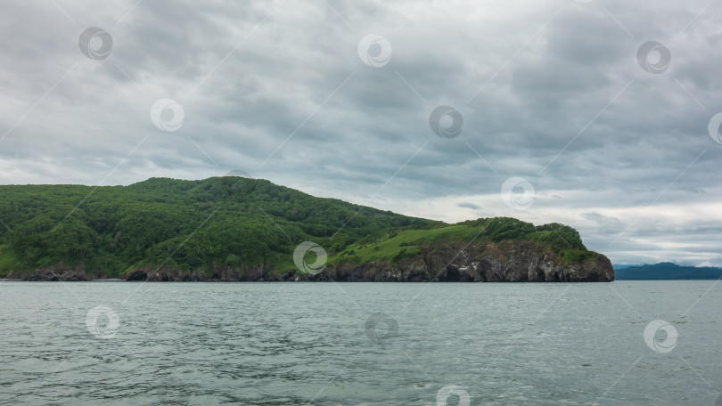 Скачать Зеленые холмы и отвесные скалы Камчатского побережья фотосток Ozero