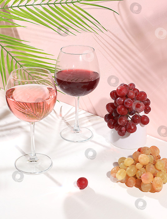 Скачать Современный натюрморт с белым и красным вином, алкогольным коктейлем "Маргарита" и виноградом на пастельном фоне с длинными резкими тенями, фотосток Ozero