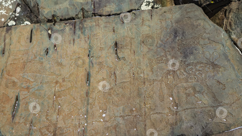 Скачать На большом выветренном плоском камне видны древние резные изображения животных. фотосток Ozero