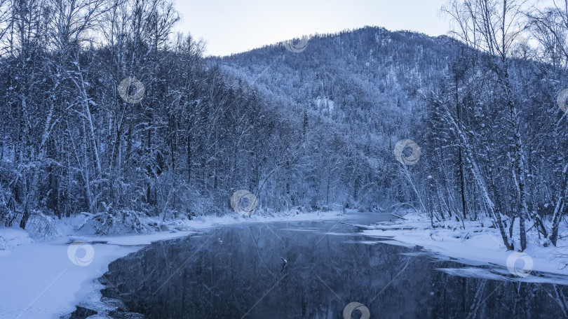 Скачать Спокойная, незамерзающая река в зимнем лесу. фотосток Ozero