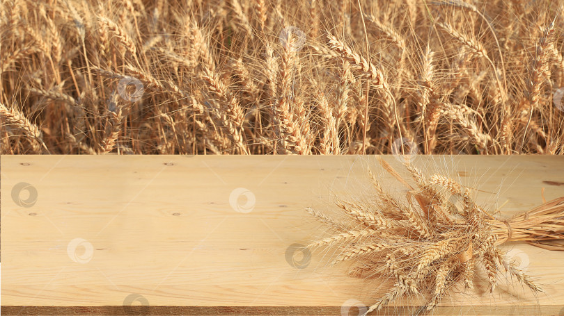 Скачать Пустой деревянный стол в деревенском стиле на фоне пшеничного поля со снопом пшеницы, концепция сбора урожая. фотосток Ozero