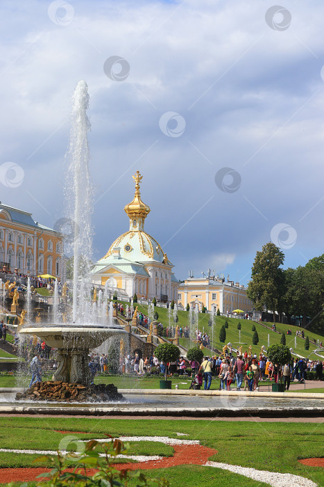 Скачать Россия, Санкт-Петербург, Петергоф, 4 июля 2018 года. На фото - фонтан "Большой каскад" в верхнем парке Государственного музея-заповедника "Петергоф" фотосток Ozero