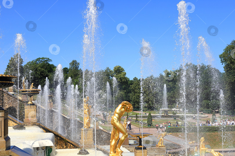 Скачать Россия, Санкт-Петербург, Петергоф, 12 июля 2021 года. На фотографии изображен фонтан Большого каскада в Нижнем парке Государственного музея-заповедника "Петергоф" и скульптуры крупным планом в брызгах воды, фотосток Ozero