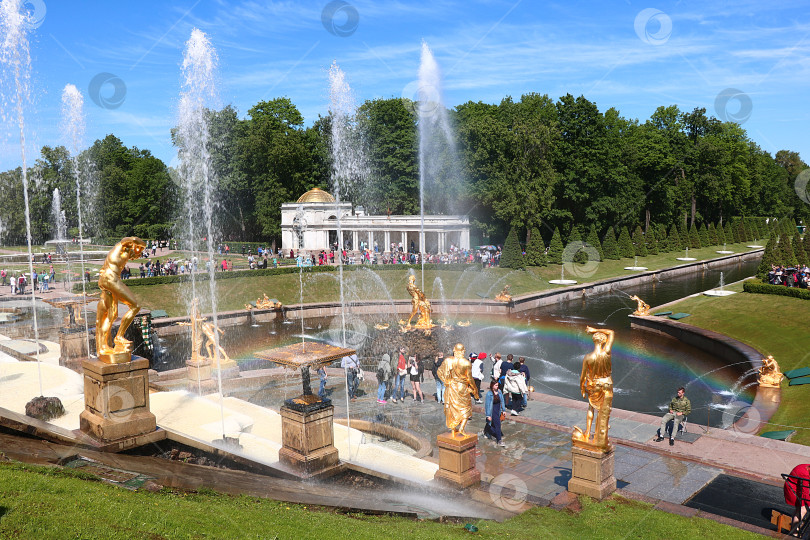 Скачать Россия, Санкт-Петербург, Петергоф, 8 июня 2018 года. На фото - фонтан "Большой каскад" в верхнем парке Государственного музея-заповедника "Петергоф" фотосток Ozero