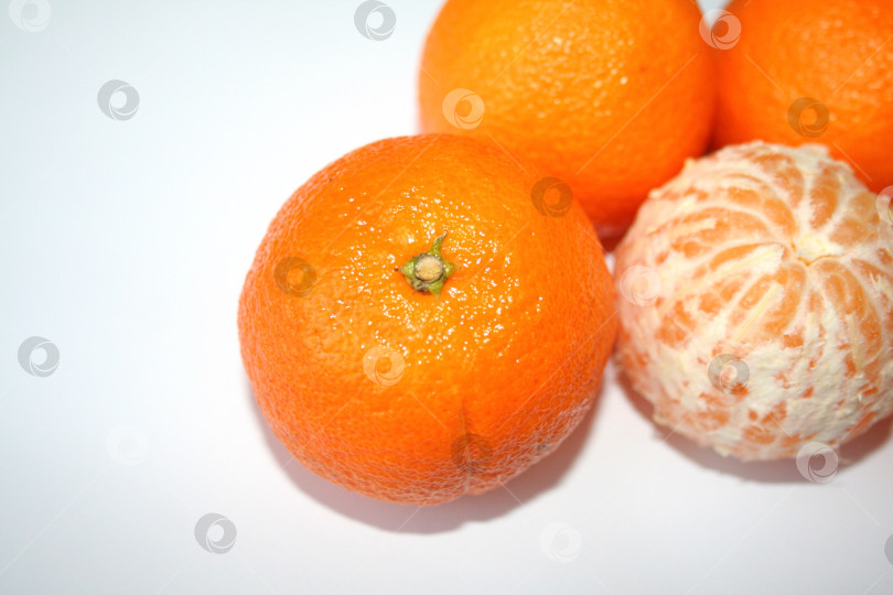 Скачать Апельсины на белом фоне фотосток Ozero
