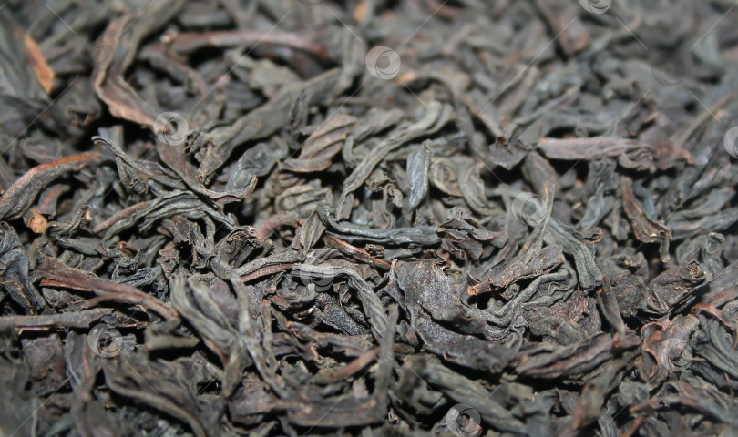 Скачать высушенные чайные листья крупным планом фотосток Ozero
