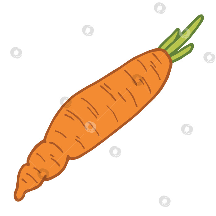 Скачать Интересная морковь на белом фоне. Векторное изображение. фотосток Ozero