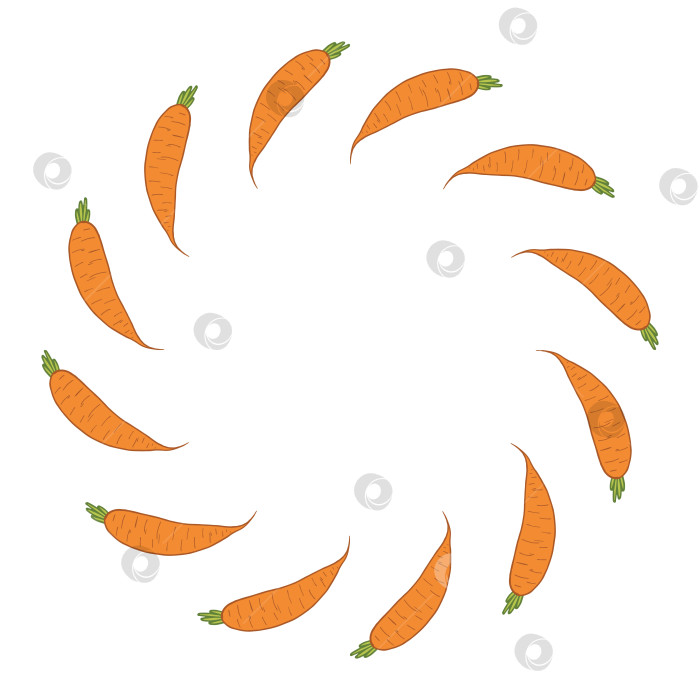 Скачать Круглая рамка с каракулями моркови на белом фоне. Векторное изображение. фотосток Ozero