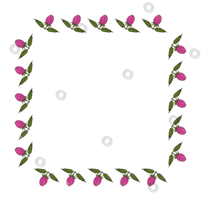 Скачать Квадратная рамка с красивым розовым бутоном цветка на белом фоне. Векторное изображение. фотосток Ozero
